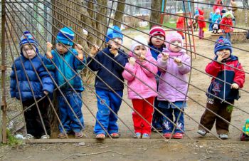 Детских садов в Березниках станет больше